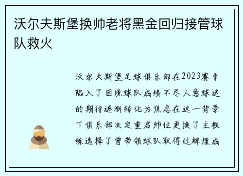 沃尔夫斯堡换帅老将黑金回归接管球队救火